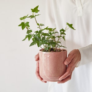 Terracotta Handmade Large Ceramic Planter, Indoor Planter Pot, Modern Rustic Planter, Pottery Planter Pot, Home or Outdoor Succulent Planter