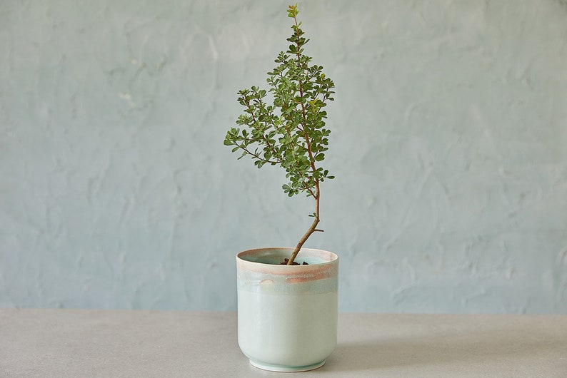 Ceramic Turquoise Utensil Holder, Pottery Utensil Jar, Knives And Spoon Holder, Storage Jar, Stoneware Vase, Kitchen Utensil Pot image 3