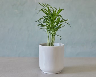 White Handmade Ceramic Succulent Planter, Indoor Modern Planter Pot, Pottery Home Cacti Planter, Small Minimalist Planter, Christmas Gift