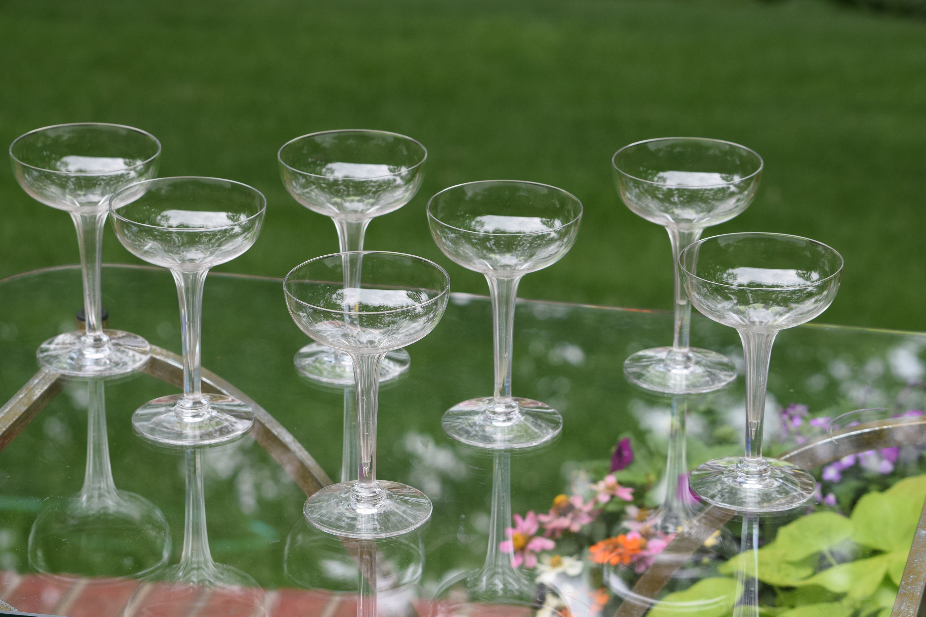Vintage CRYSTAL Hollow Stem Champagne Coupes, Set of 7, Central Glass