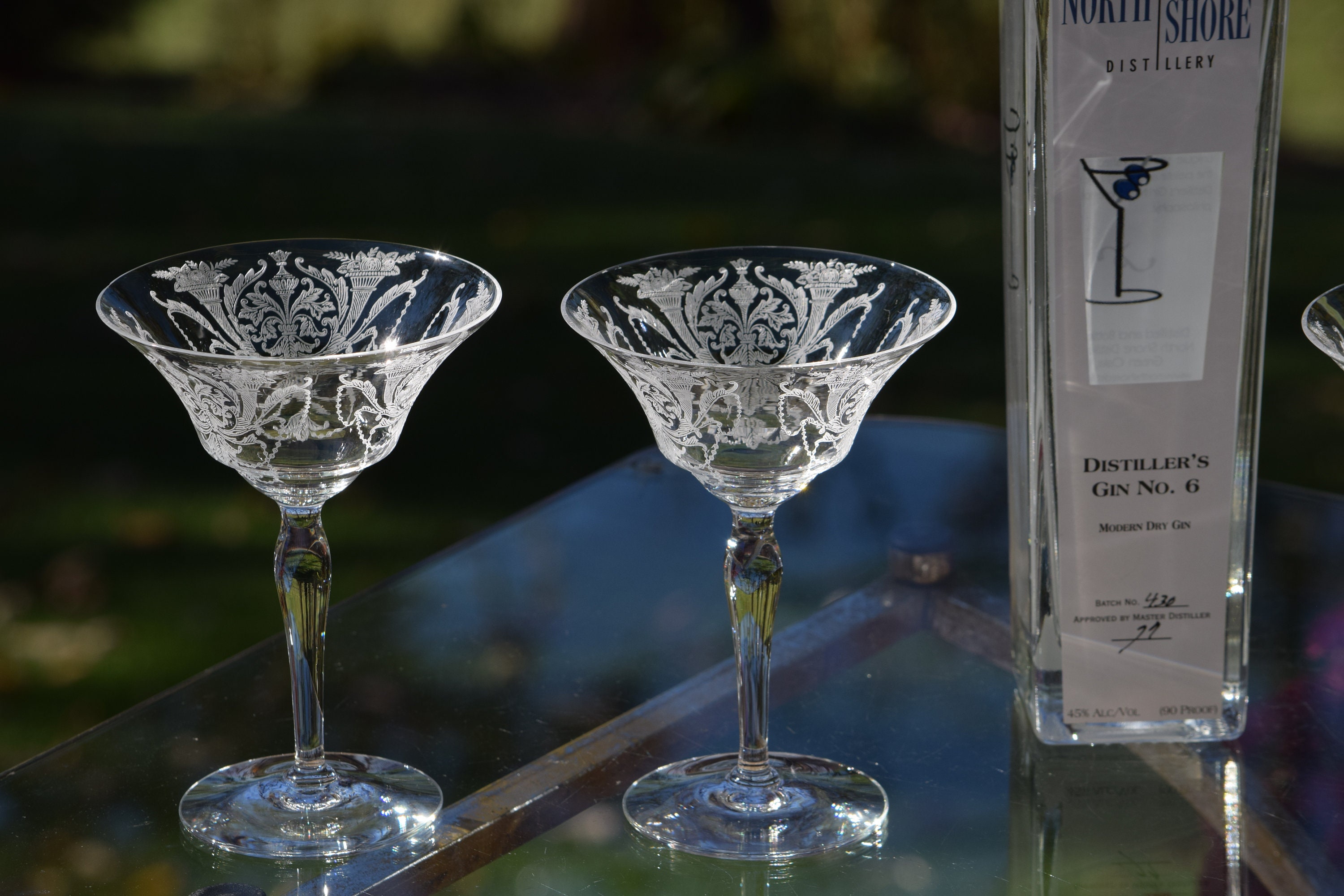 Etched Martini Glass by Leandra Drumm