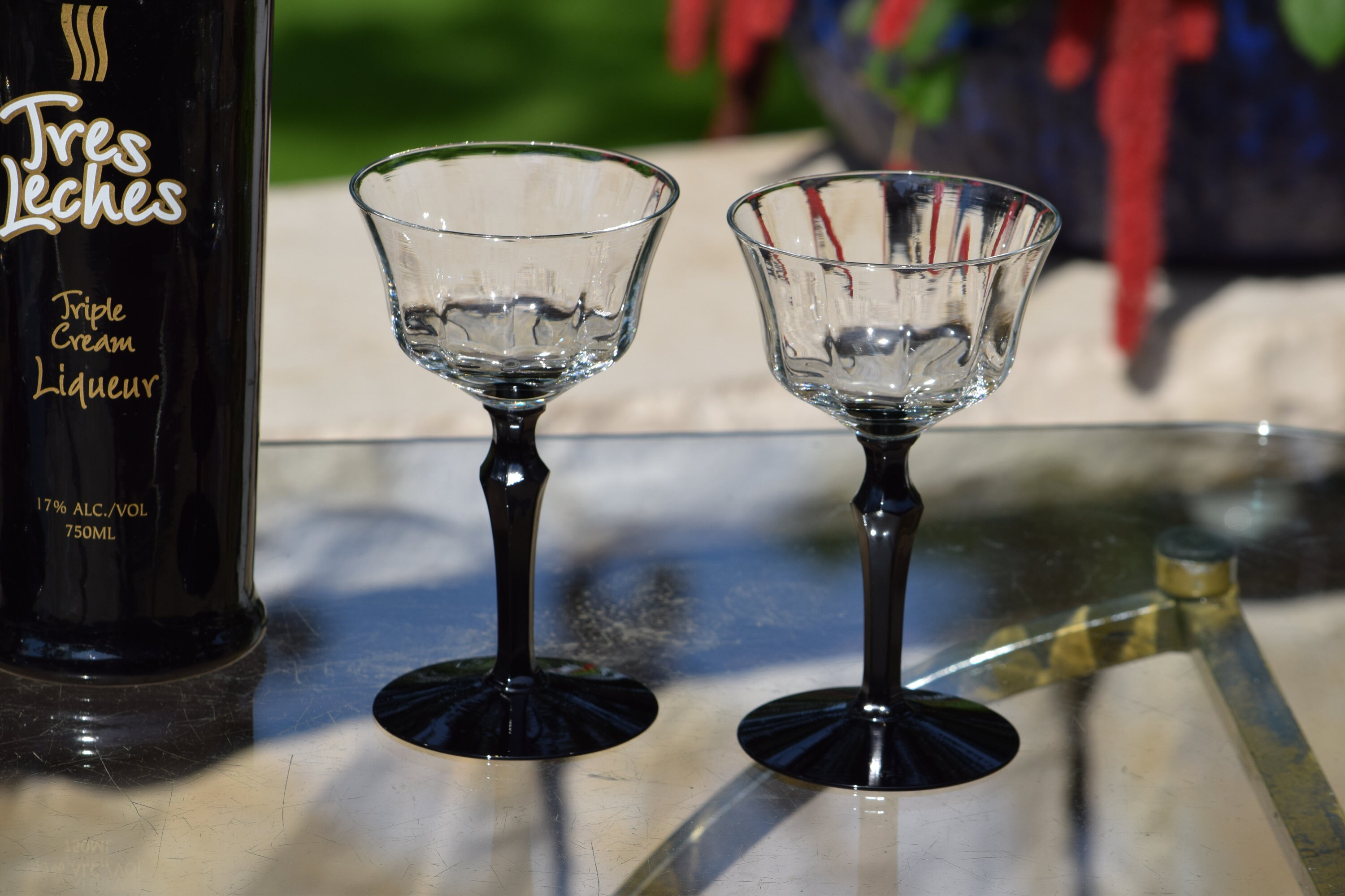 10 oz. Signature Black Stem Martini Glasses