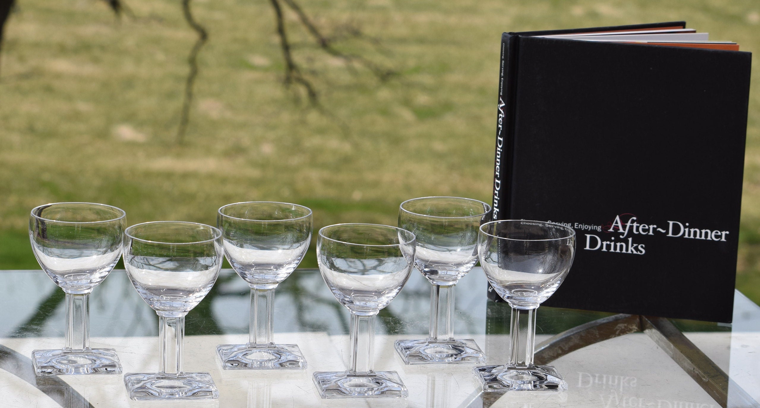 Vintage Floral Etched Clear Glass Cocktail, After Dinner Glasses- Set of 6