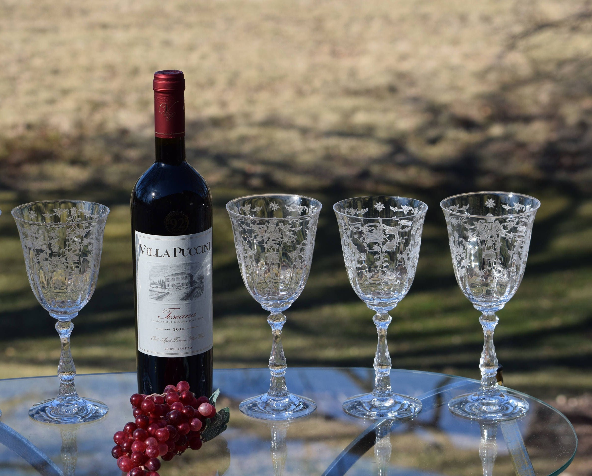 5 Vintage Acid Etched Crystal Water Goblet - Wine Glasses