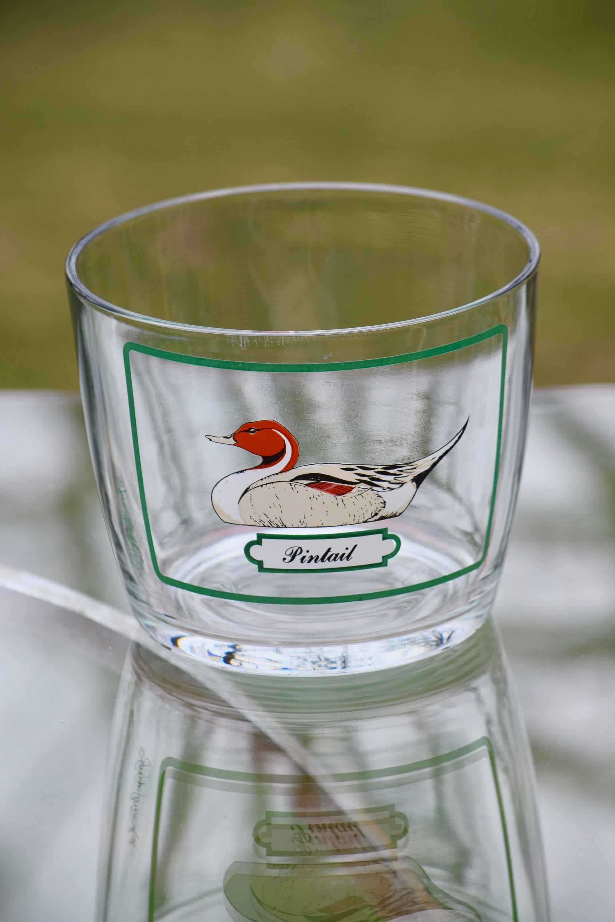 Georges Briard Duck Wildlife Whiskey Glasses with Ice Bucket Mad