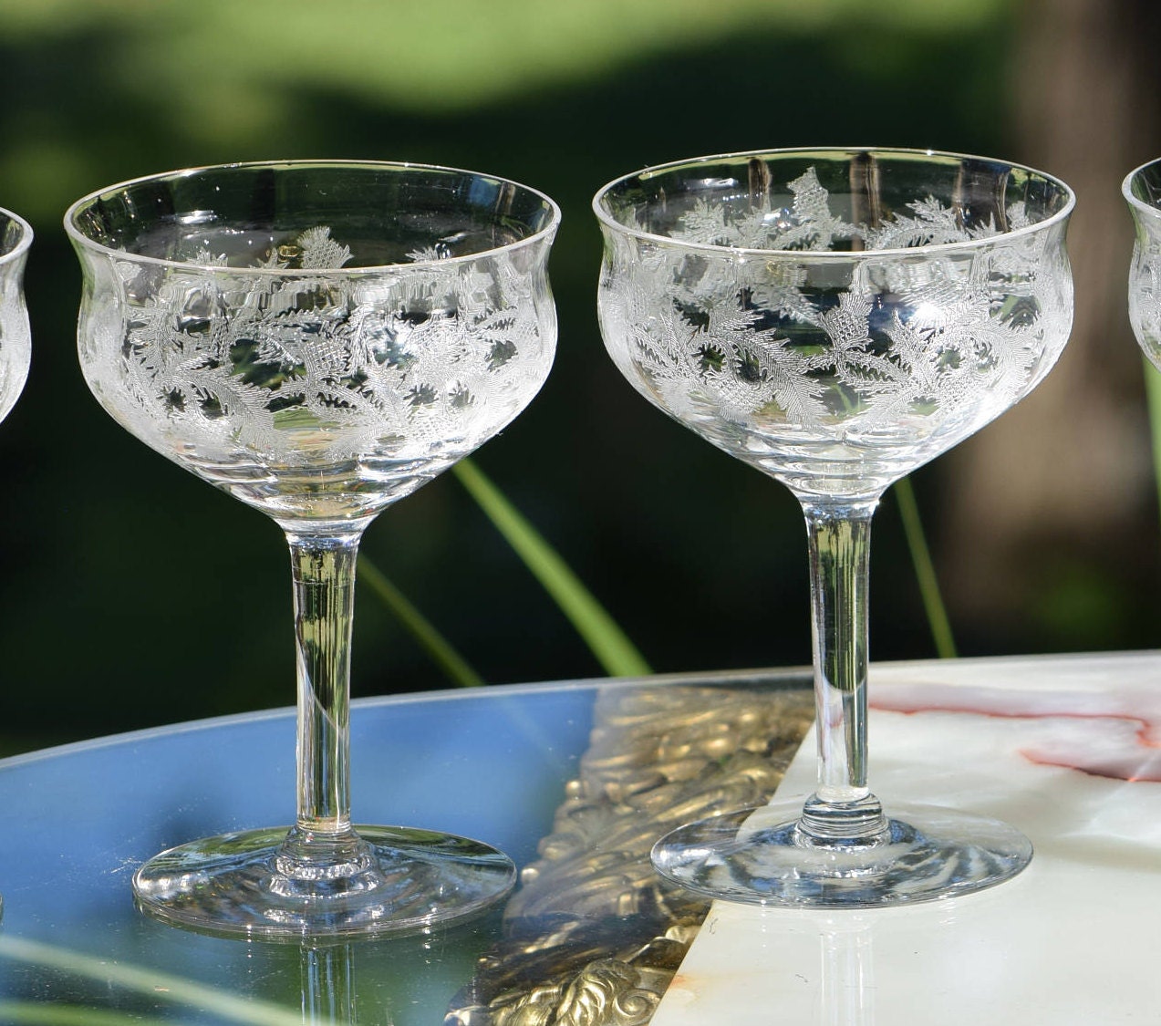 Antique Needle Etched Cocktail Glasses - Coupes, Set of 4, Central Glass  Works, Thistle Pattern, circa 1910, Mixologist Cocktail Glasses