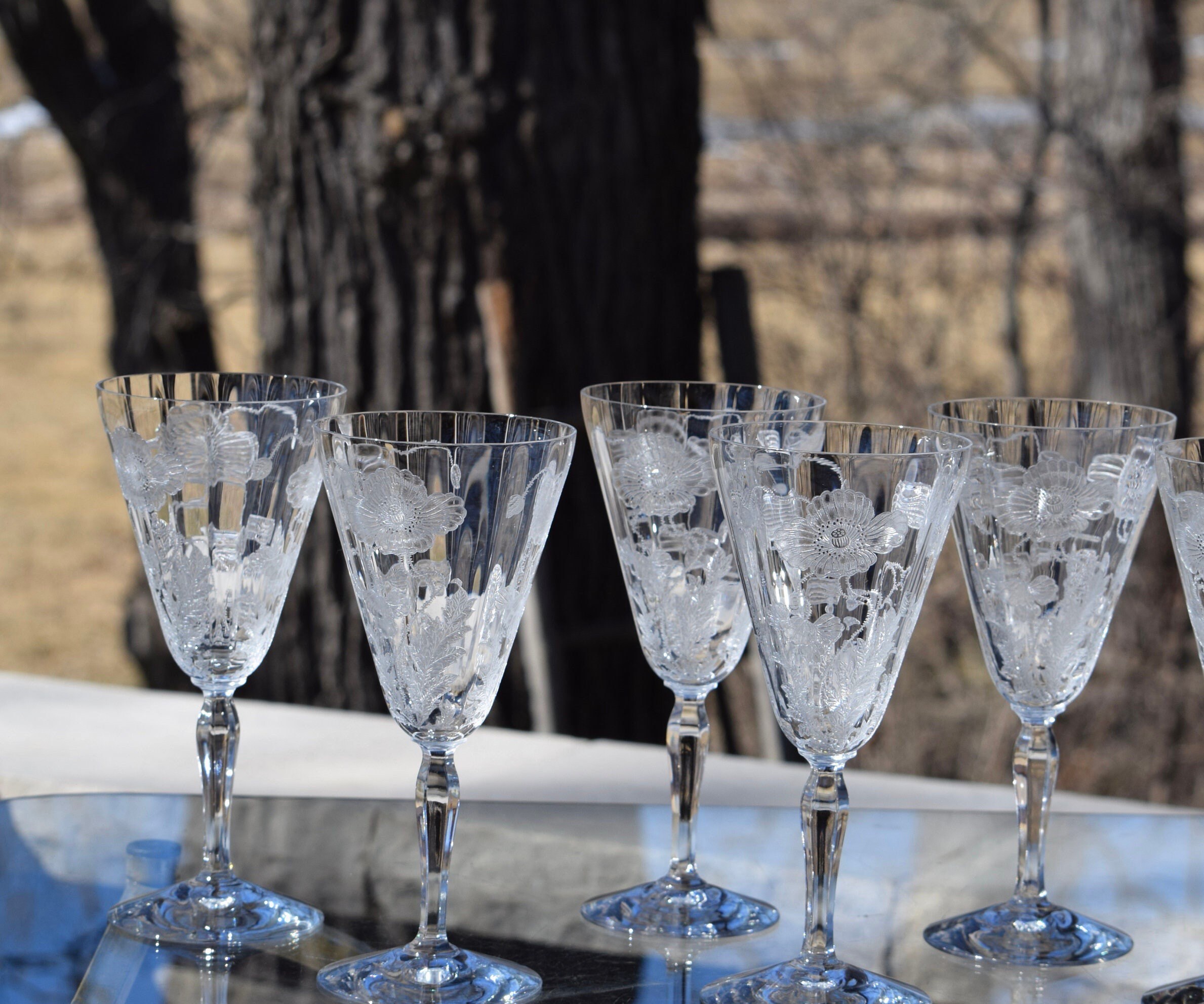 5 Vintage Acid Etched Crystal Water Goblet Wine Glasses, Fostoria