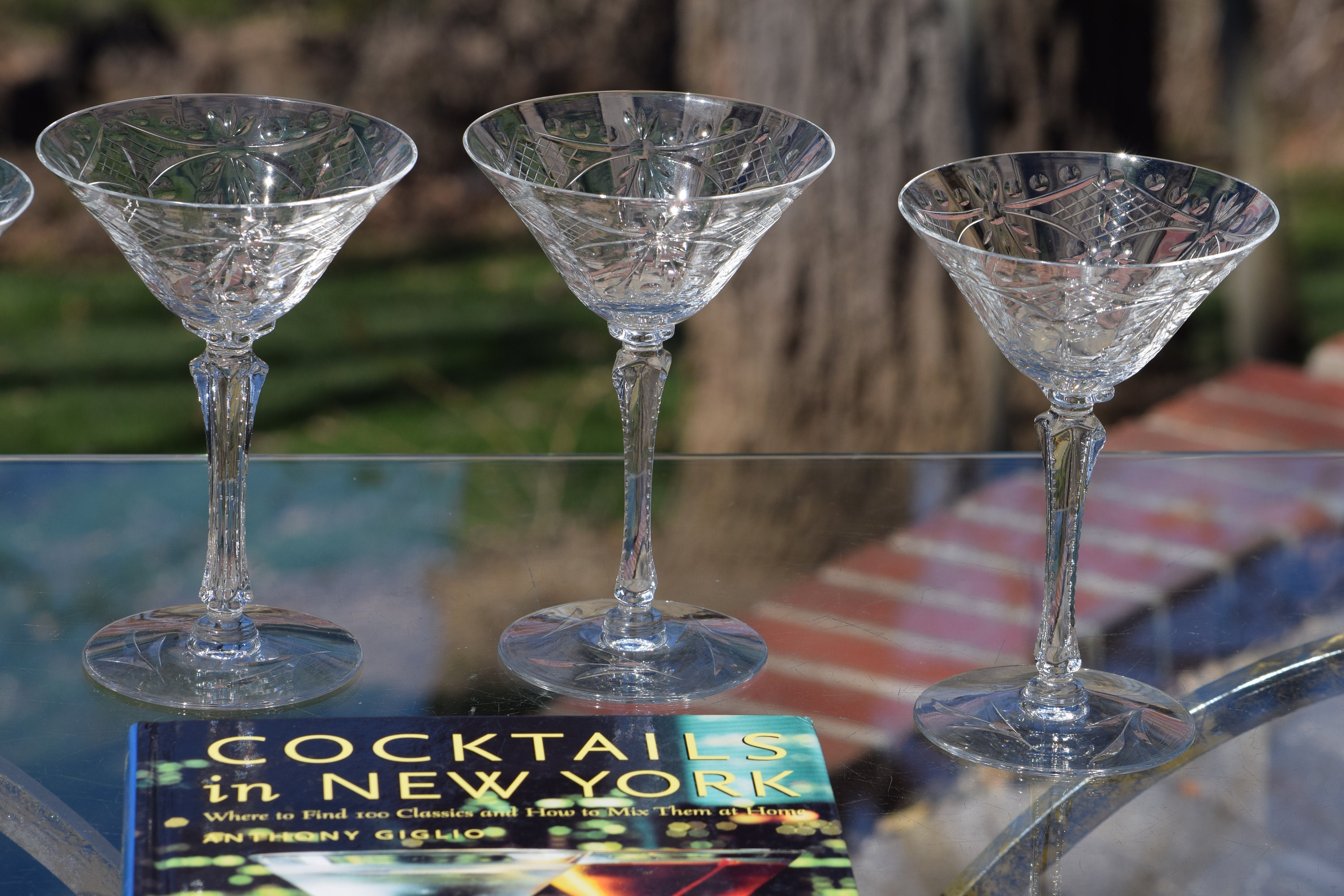 4 Vintage Etched CRYSTAL Cocktail Glasses, Set of 4, Seneca