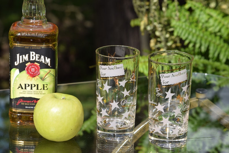 1950/'s 1960/'s Barware Set of 5 Vintage Cocktail- Whiskey Highball Glasses Mid Century Barware Pour Another For Whiskey Highballs