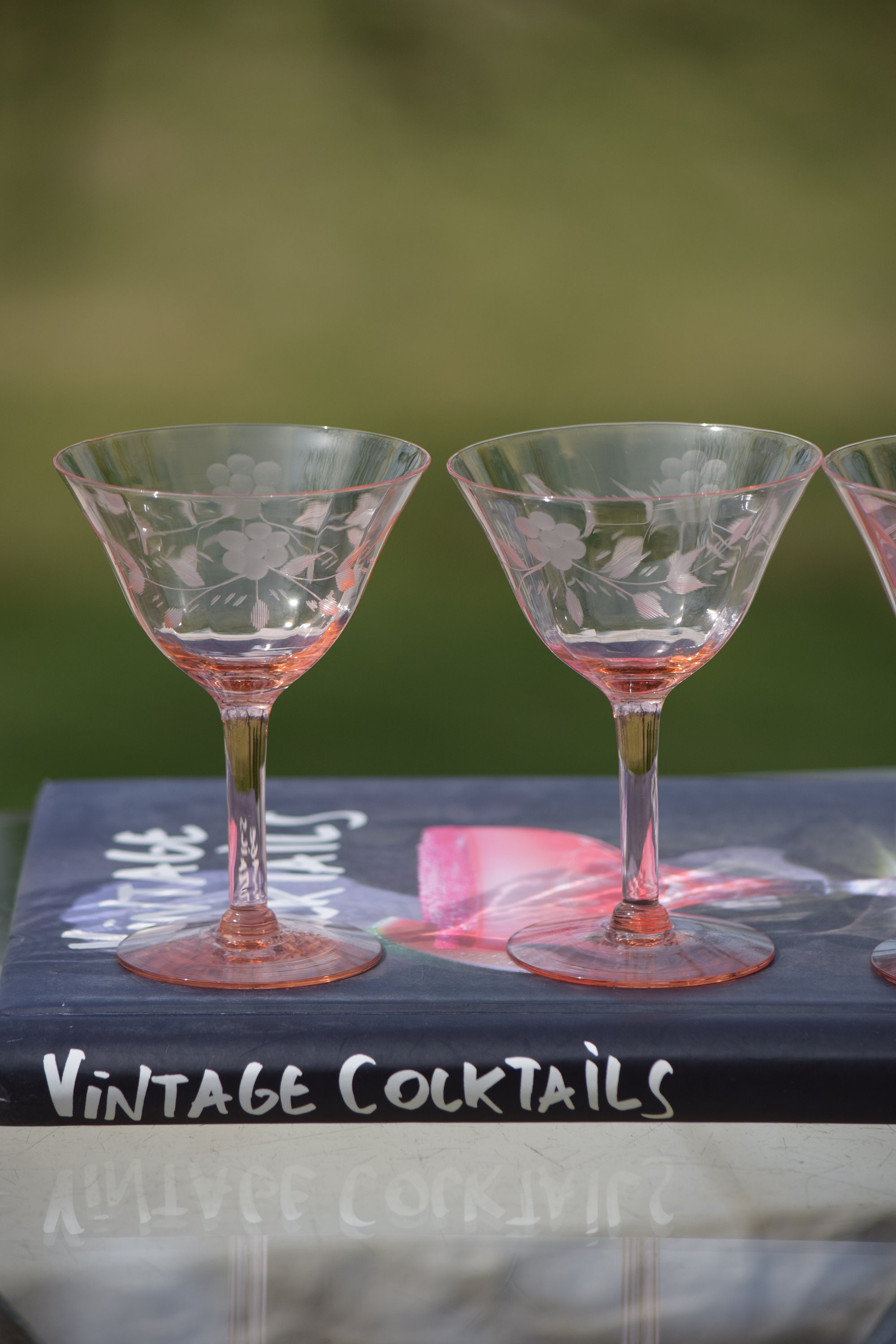 Pink Martini Roseville - 22u7gns