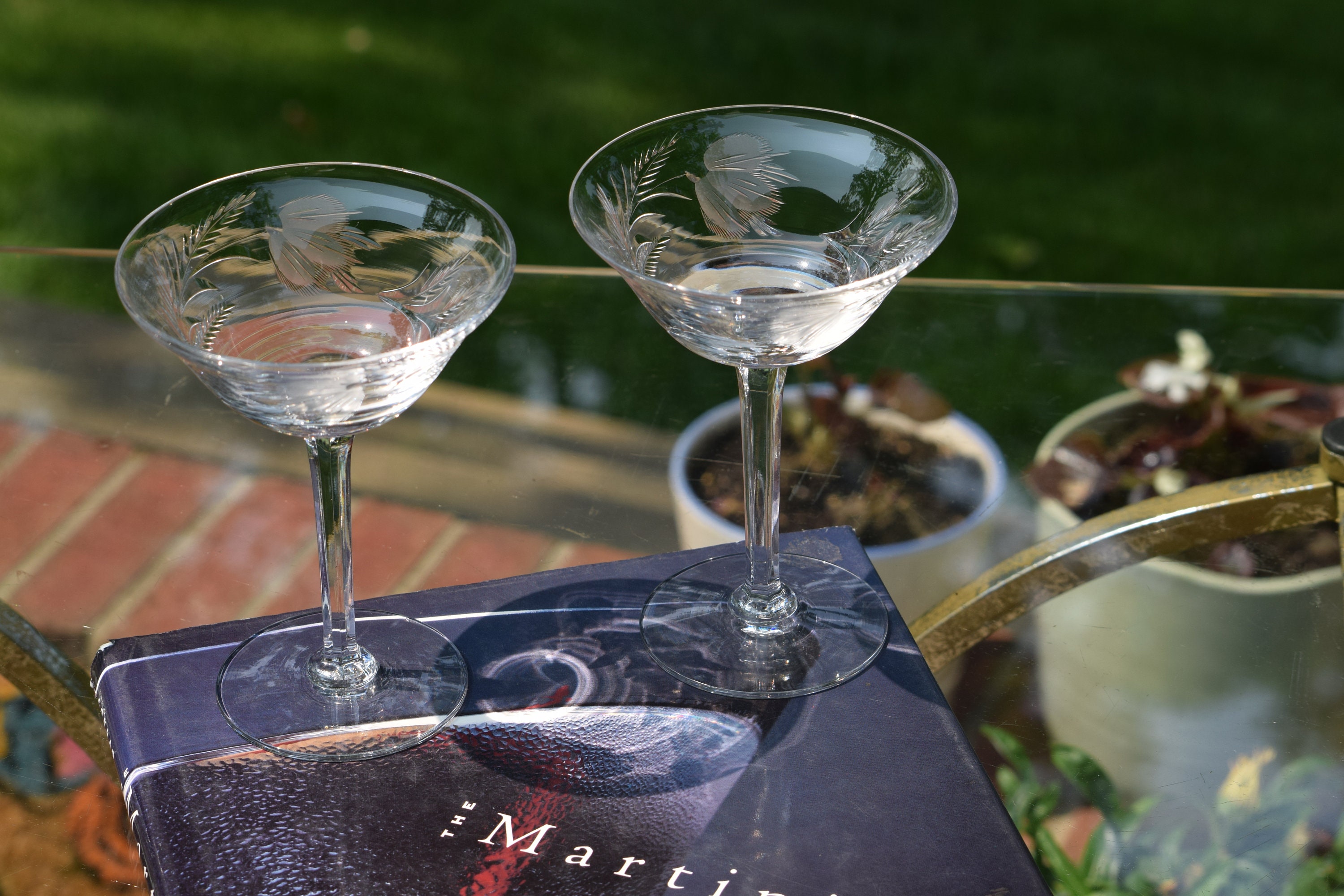 Food52 Antique-Inspired Etched Martini & Cocktail Glasses, 5 Set