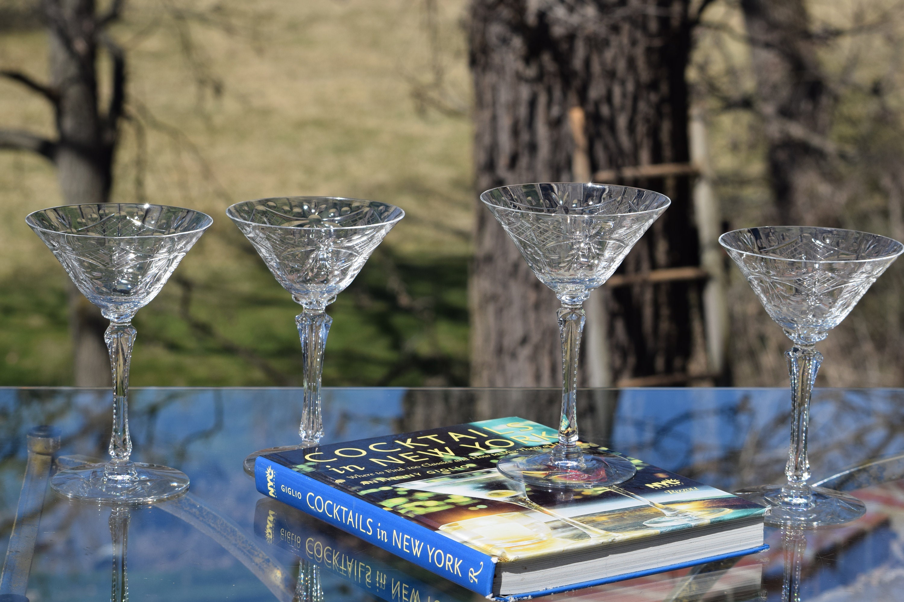 4 Vintage Etched CRYSTAL Cocktail Glasses, Set of 4, Seneca