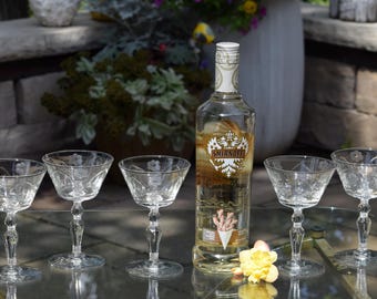 Geätzte Martini-Gläser - Rock Sharpe 1950er Jahre Cocktail Set
