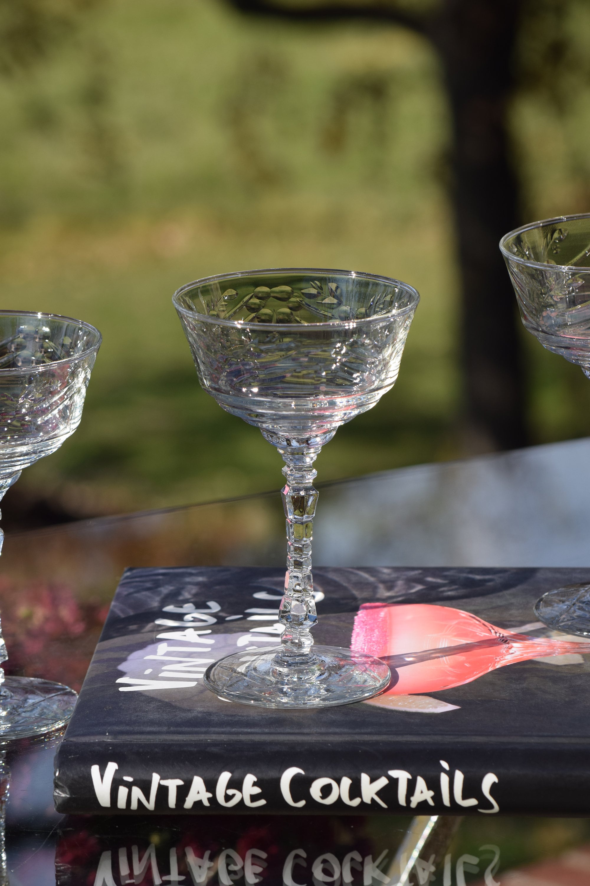 Nick & Nora Vintage Etched Martini Glasses