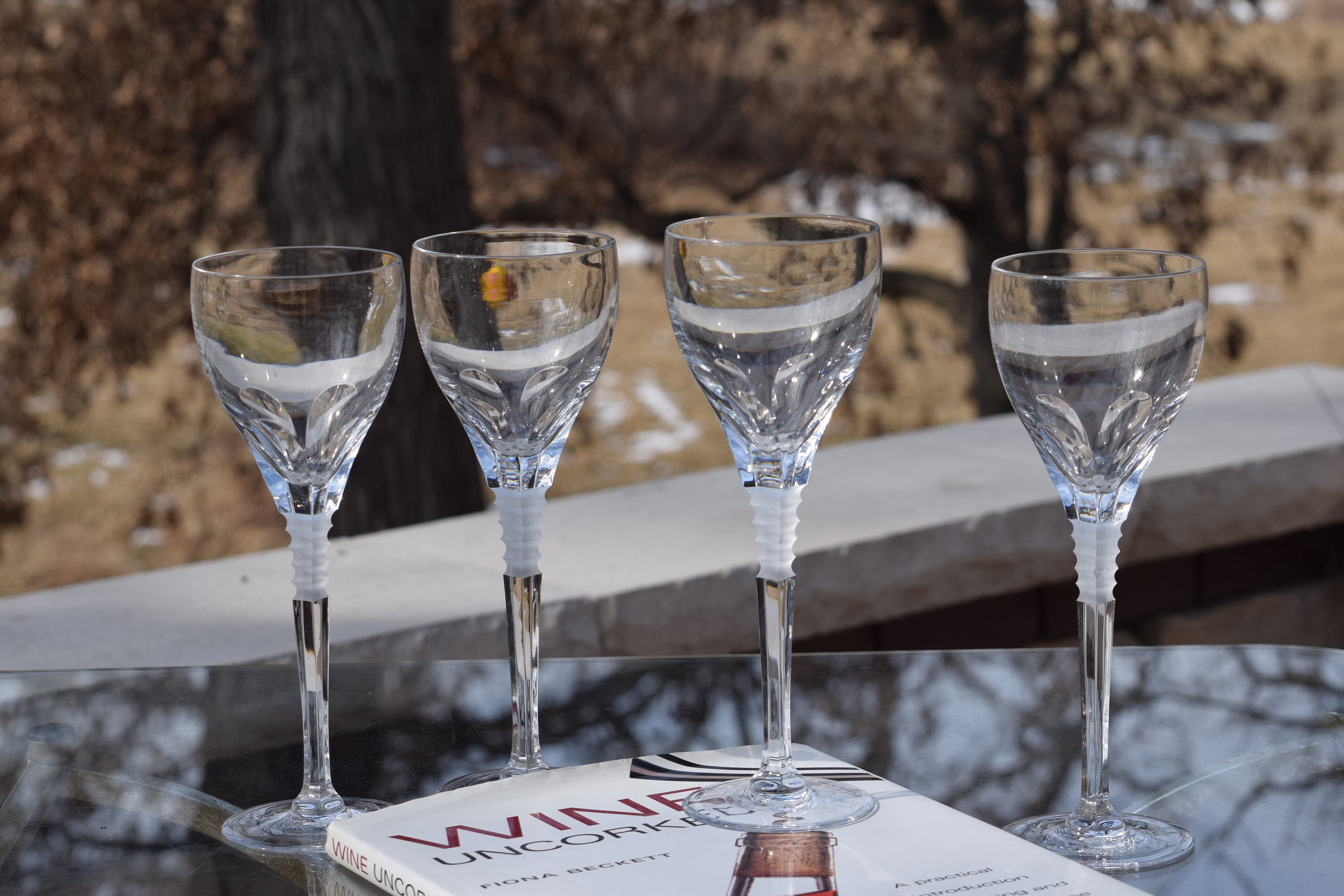 4 copas de vino de cristal vintage, Mikasa Córcega 1990, copas de agua de  cristal vintage altas, elegantes brindis de boda de cristal Regalos, -   México