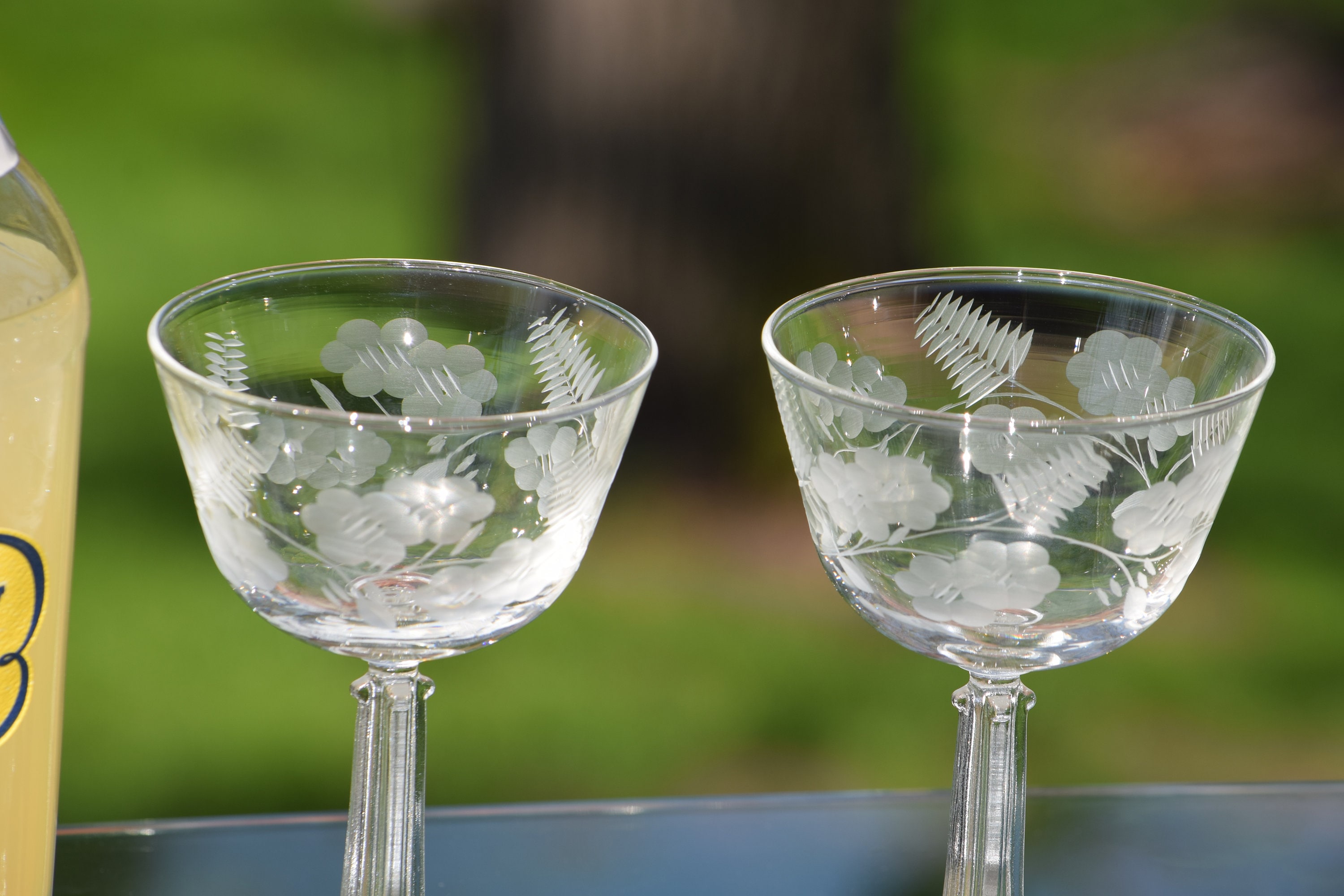 2 New Margaritaville Livin for the Weekend Stemmed cocktail Glasses Floral