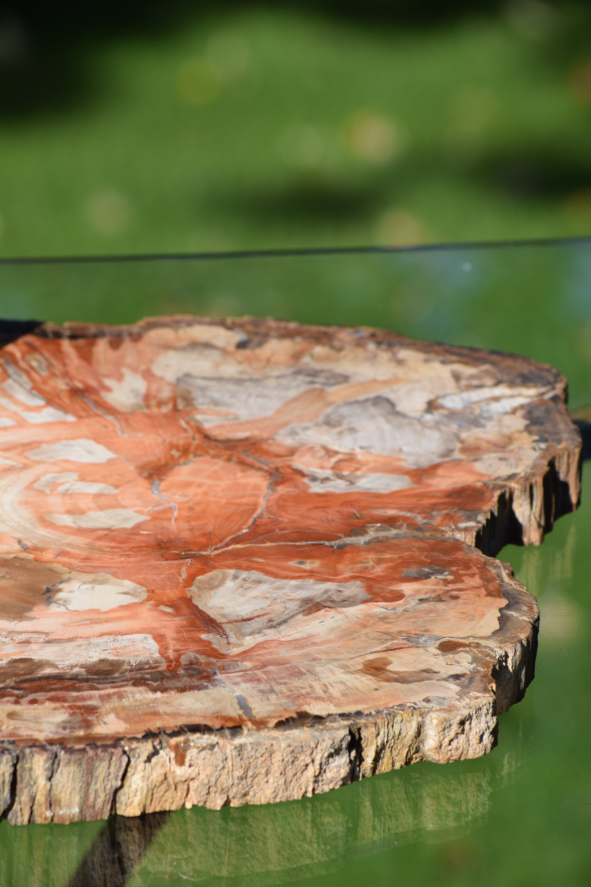 Petrified Wood ~ Stone Platter ~ ~ Home Bar Liquor Decor