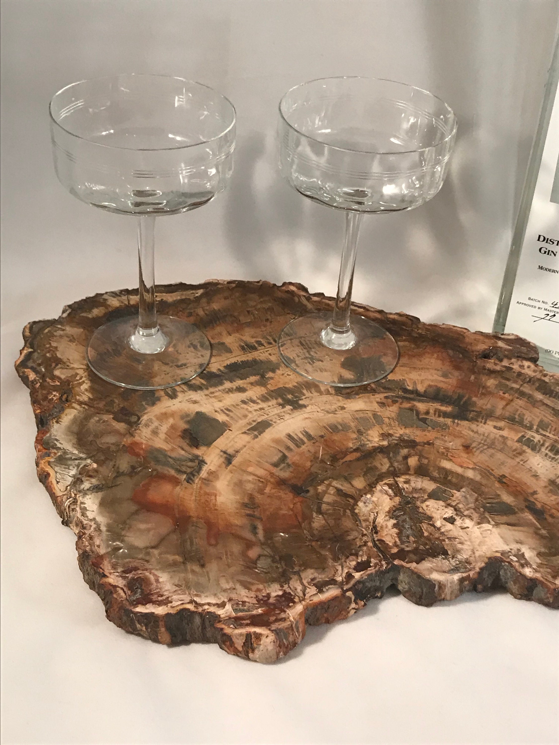 Petrified Wood Stone Platter Petrified Wood Appetizer Cheese
