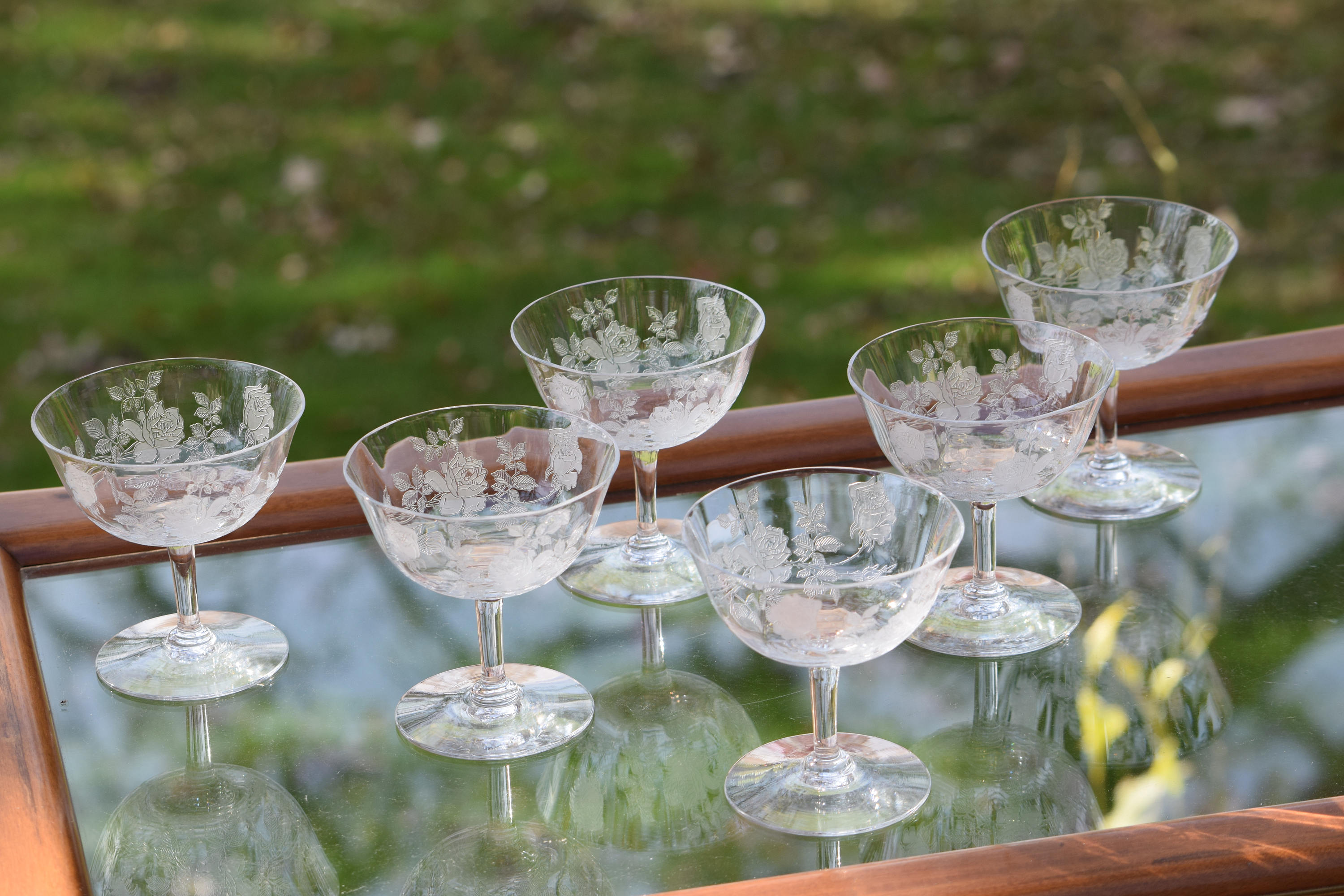 Vintage Etched Champagne Coupes Cocktail Martini Glasses, Set of 6