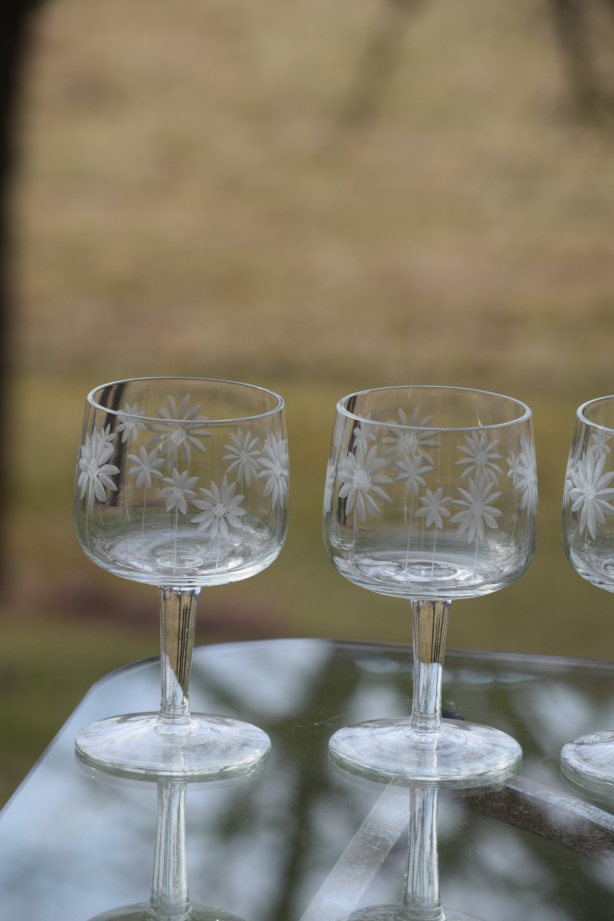 Vintage Etched Tall Cocktail Pitcher with 6 cocktail glasses, Vintage