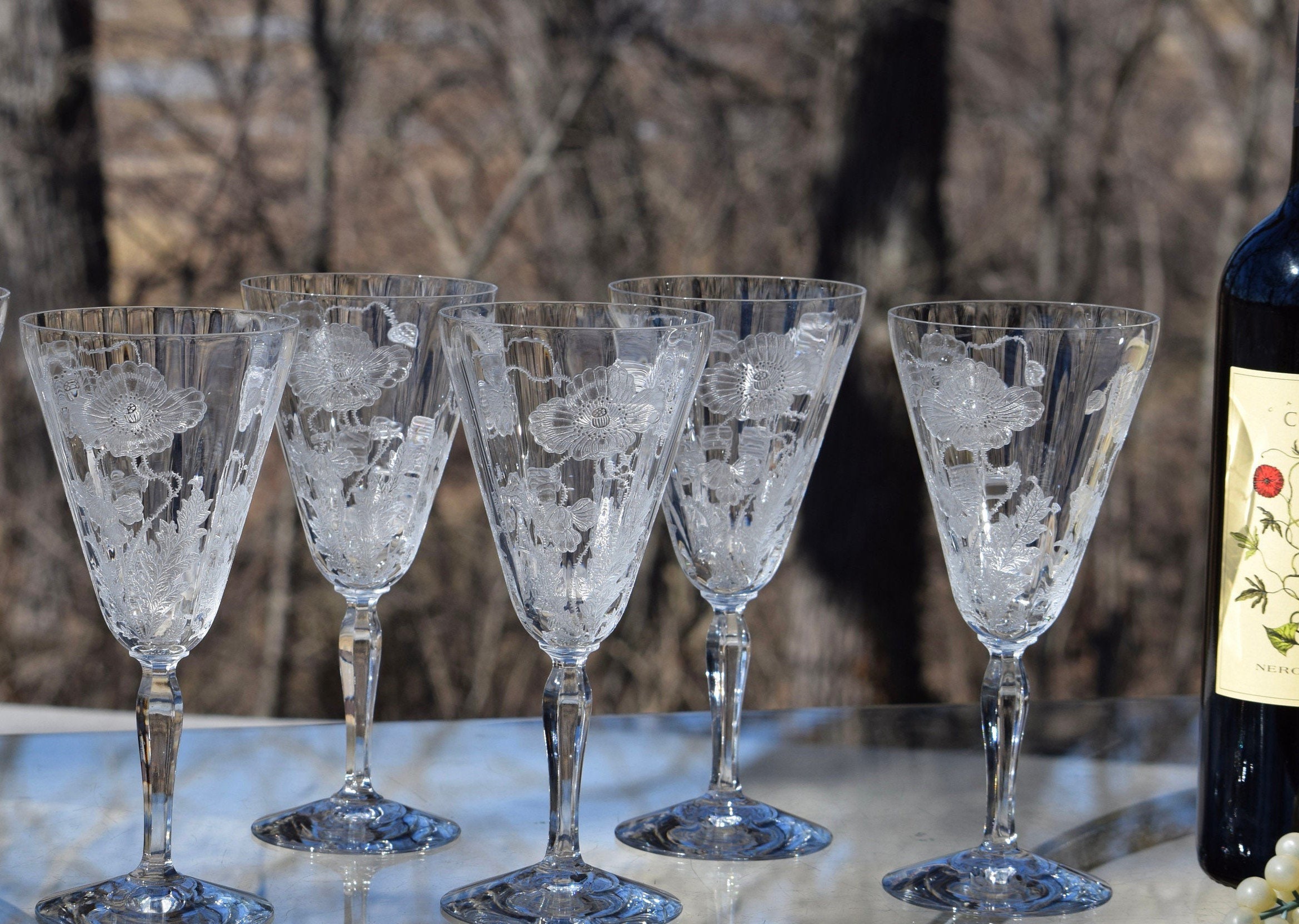 5 Vintage Acid Etched Crystal Water Goblet Wine Glasses, Fostoria