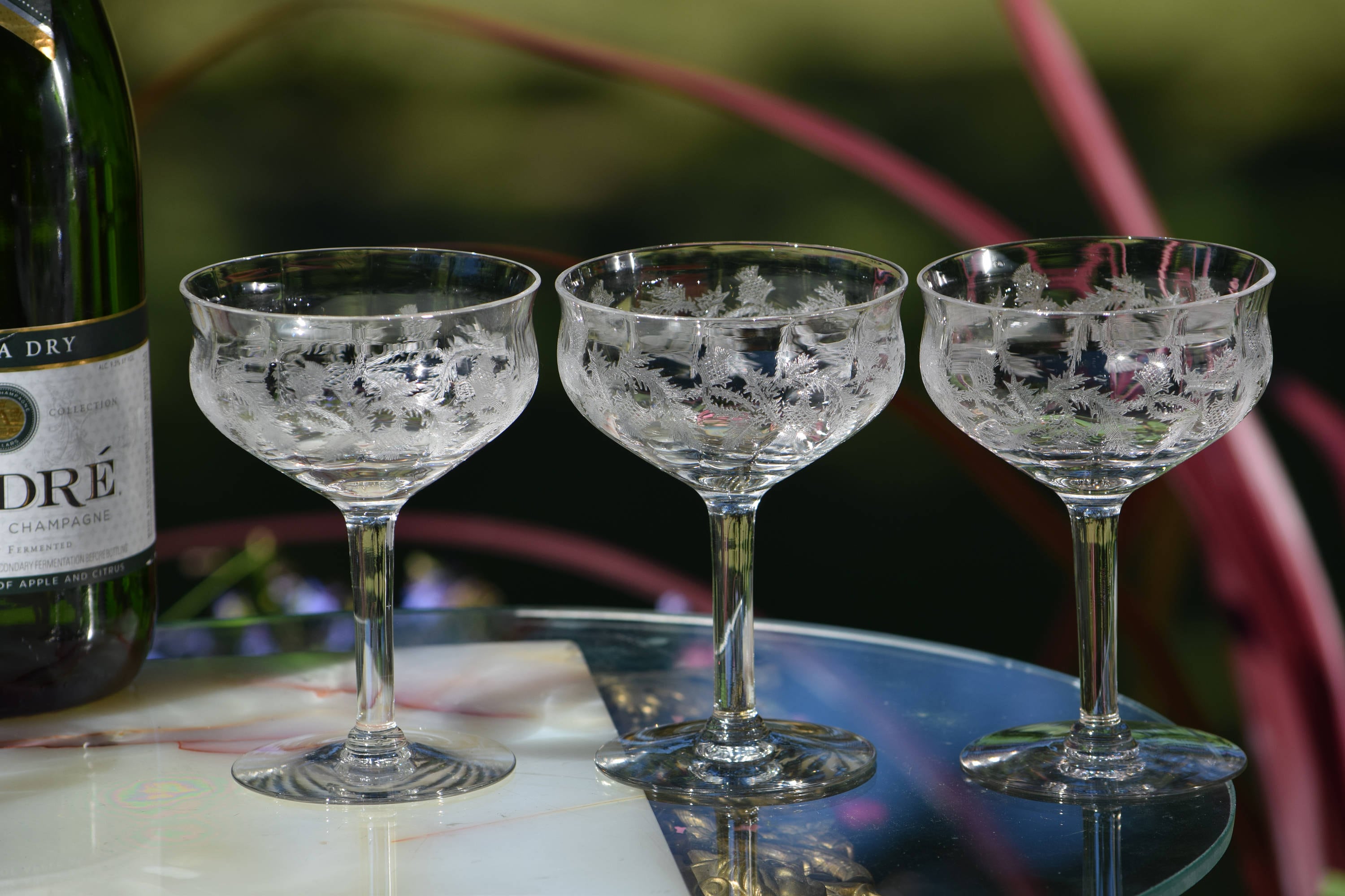 Vintage Needle Etched Cocktail Glasses, Set of 4, circa 1920's, Vintage  Needle Etched Champagne Coupe - Cocktail Glasses