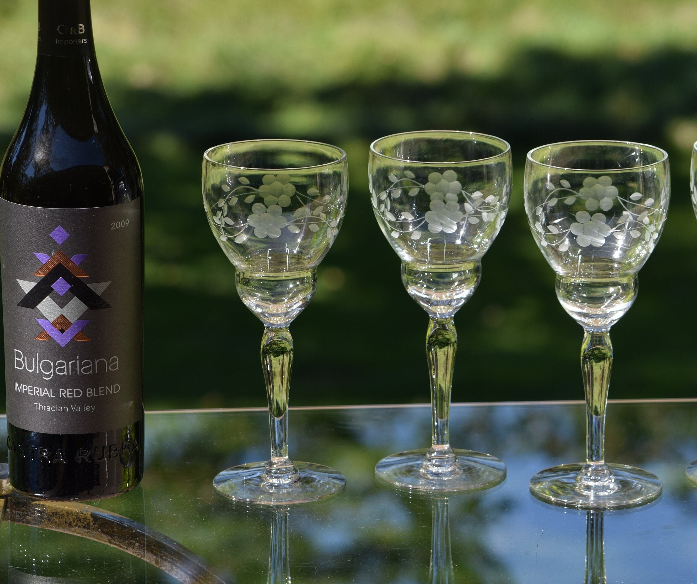 Vintage Botanist Drinking Glass Set, Luxurious Floral Embossed