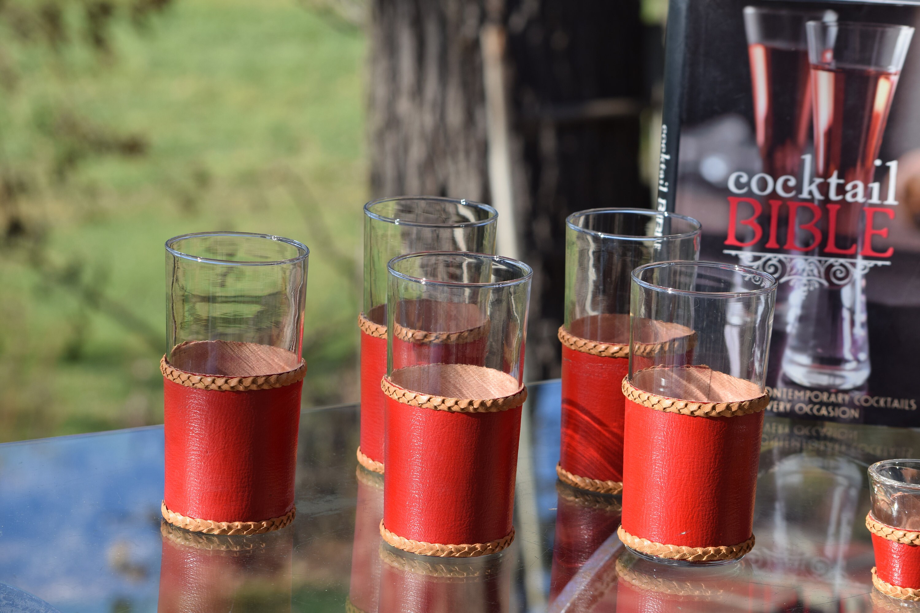 Shot Glasses with Leather Case, Little Obsessed