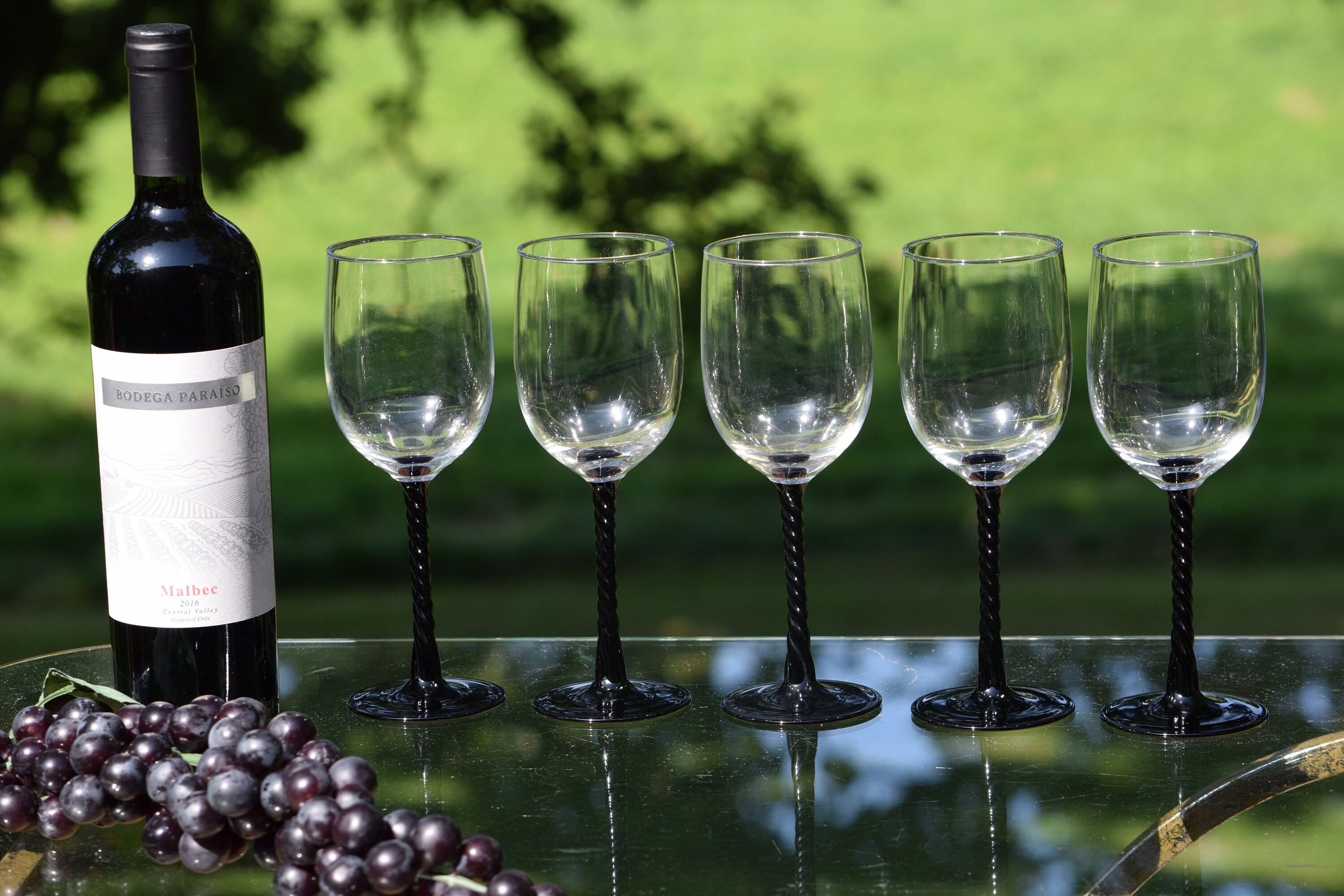 Black Stem Wine Glass - West Coast Event Productions, Inc.