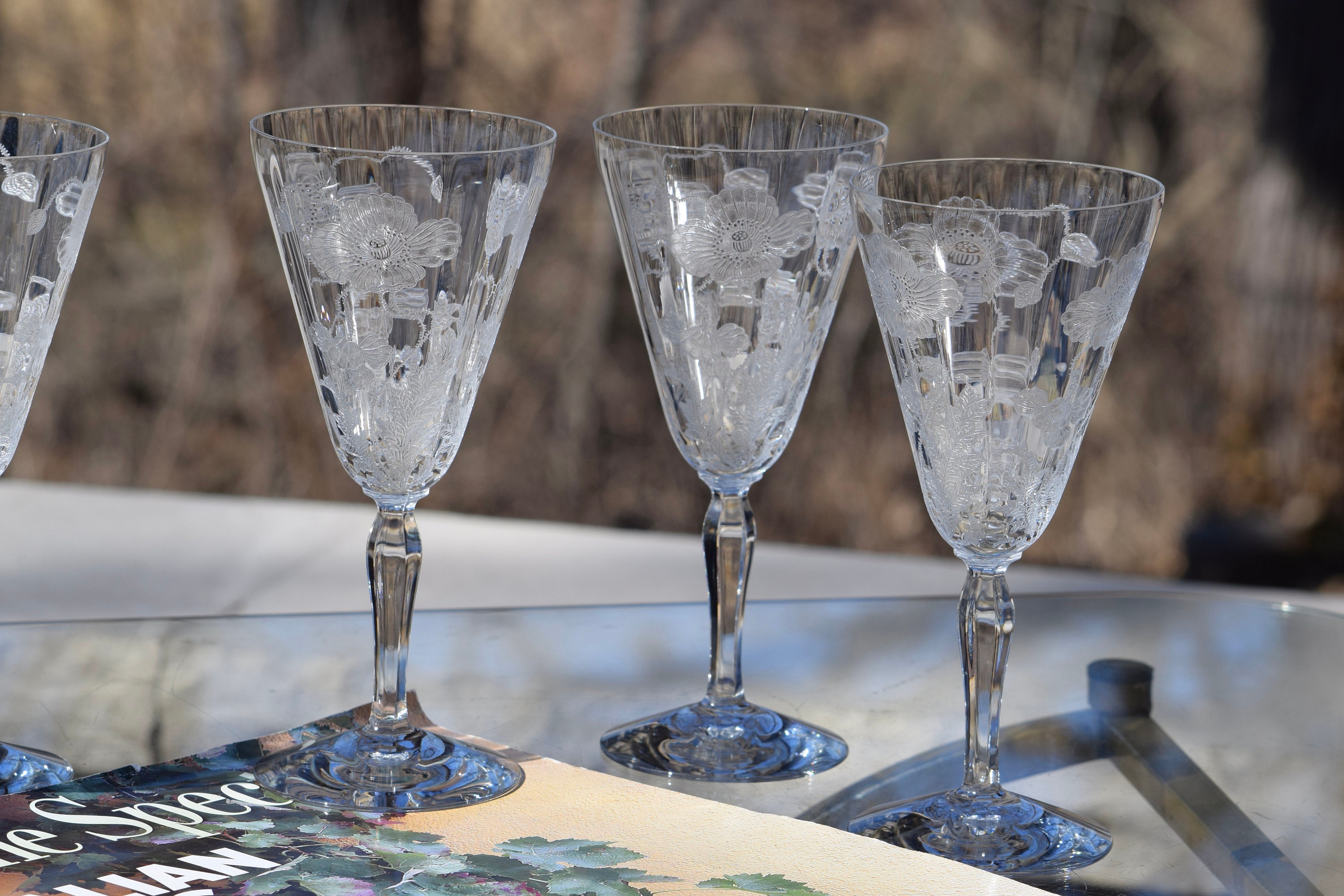 5 Vintage Acid Etched Crystal Water Goblet - Wine Glasses