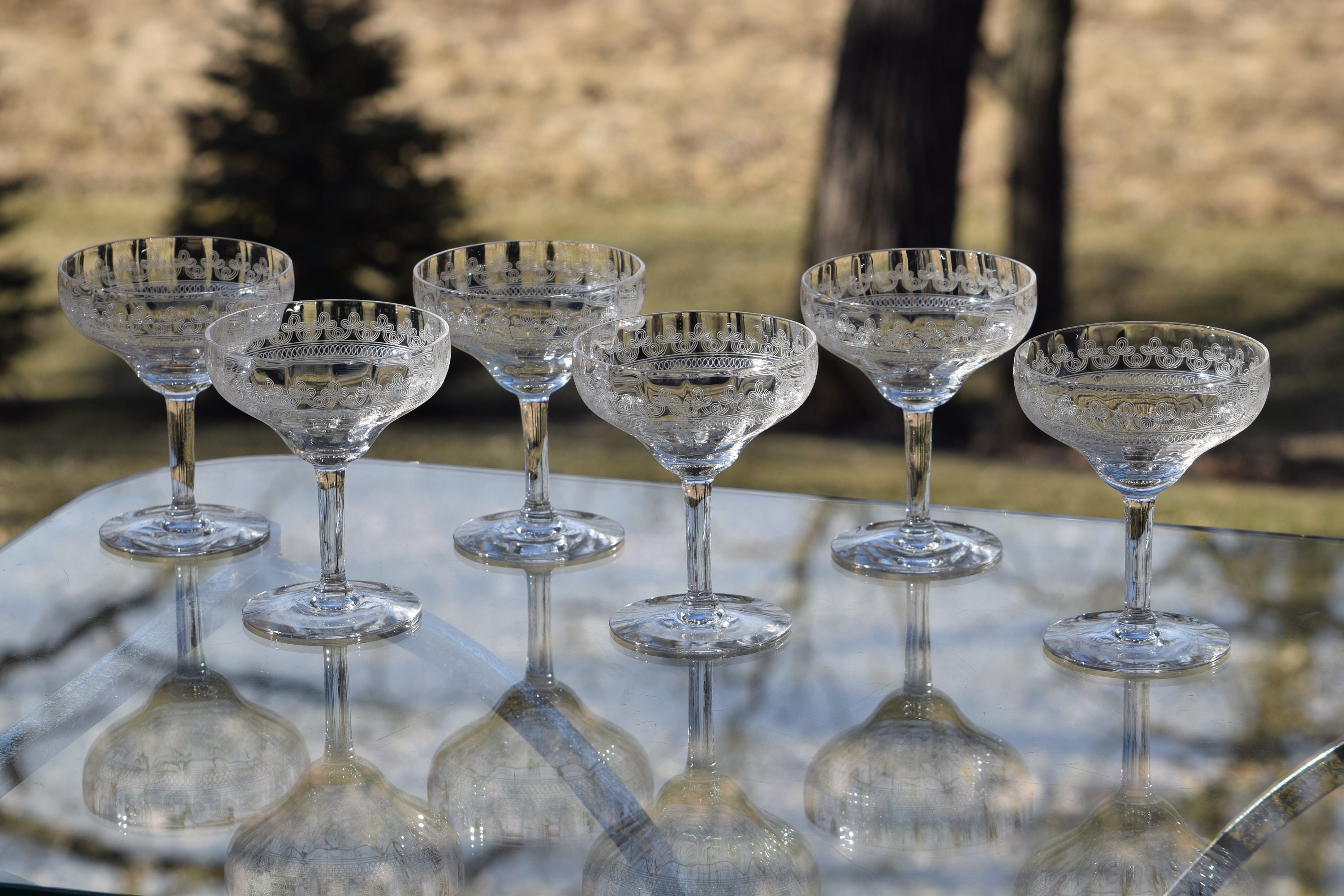 Vintage Needle Etched Cocktail Glasses, Set of 4, circa 1920's, Vintage  Needle Etched Champagne Coupe - Cocktail Glasses