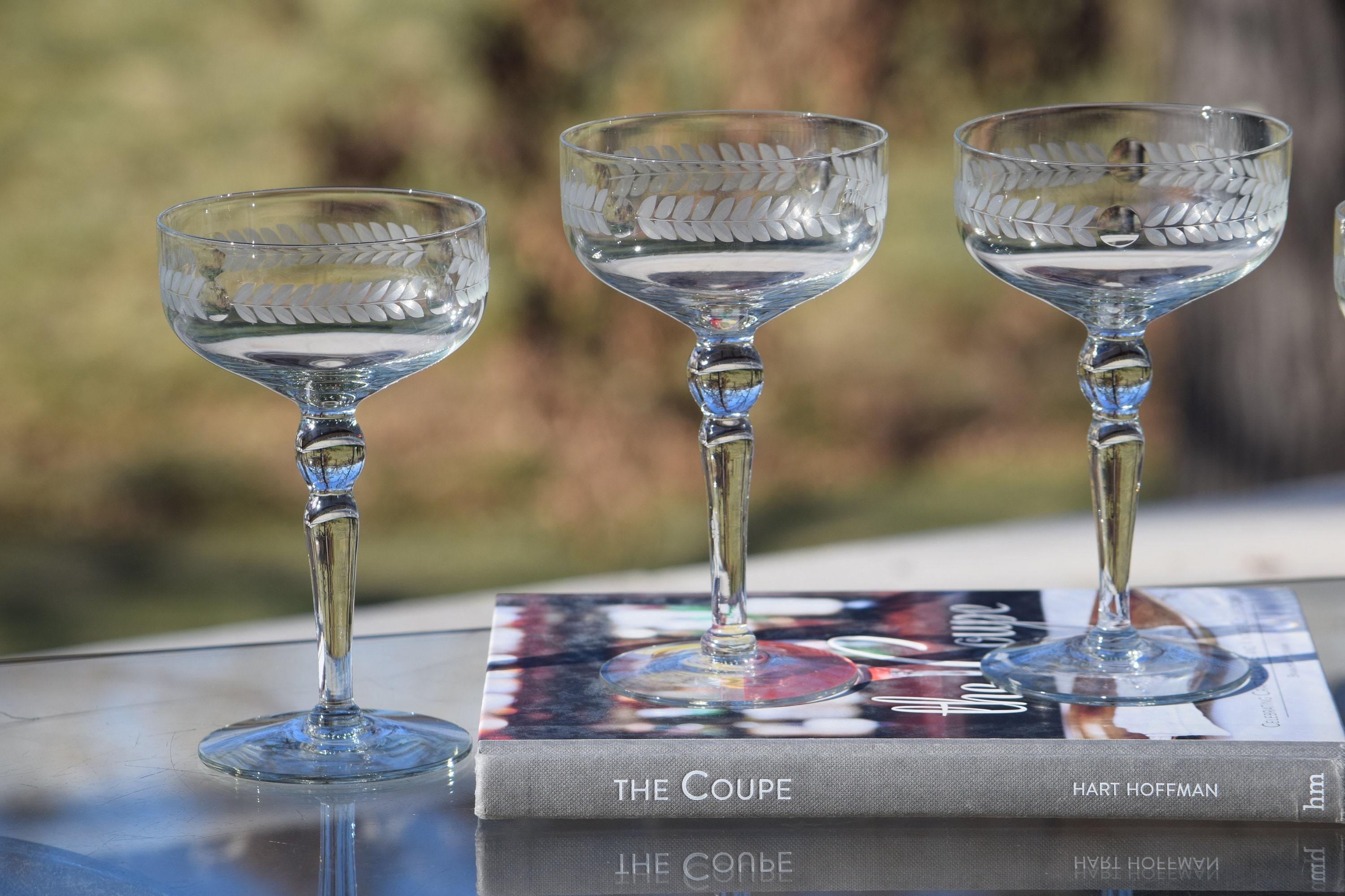 Etched champagne coupes deals