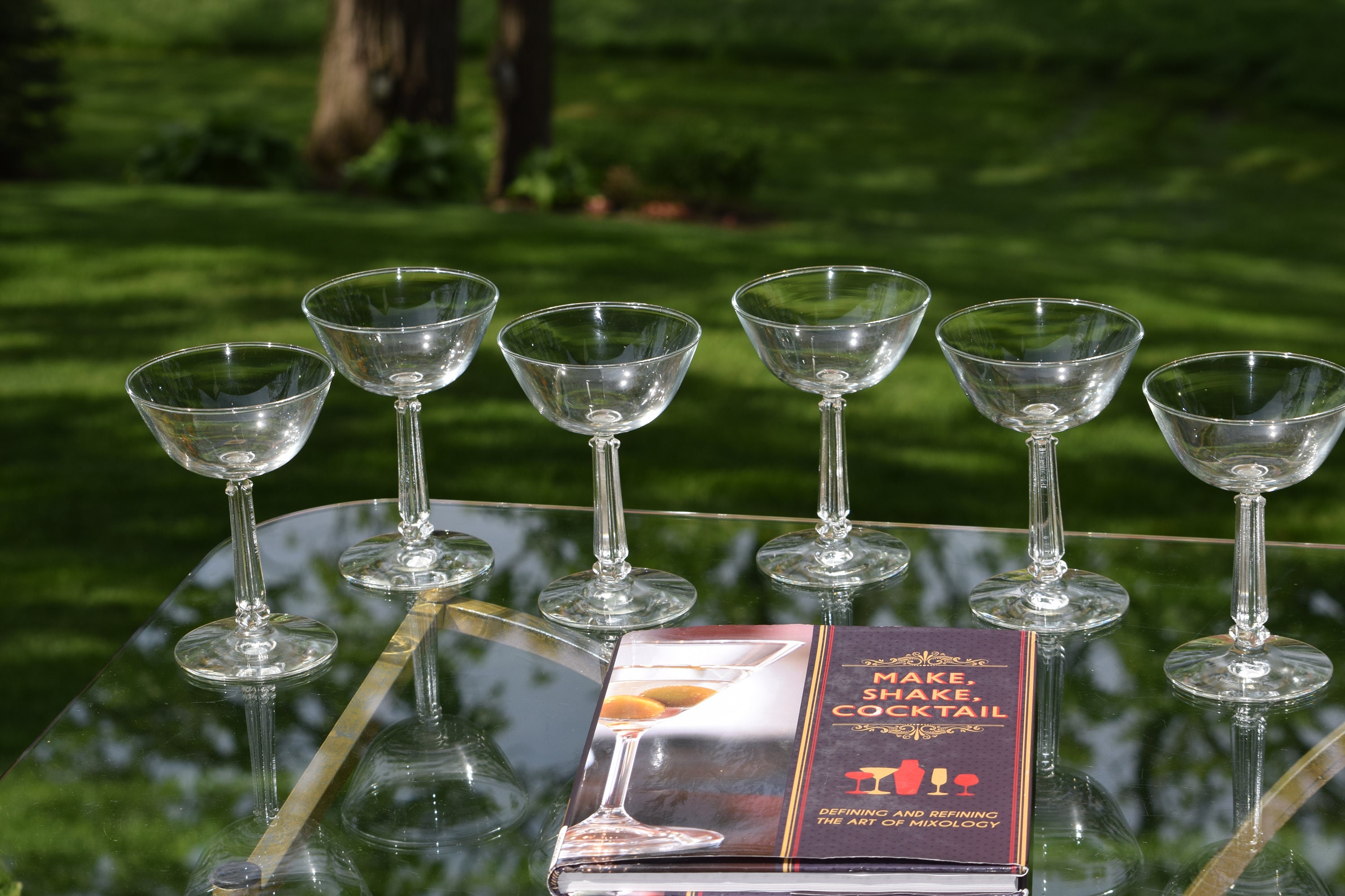 Manhattan Set of 6 Martini Glasses