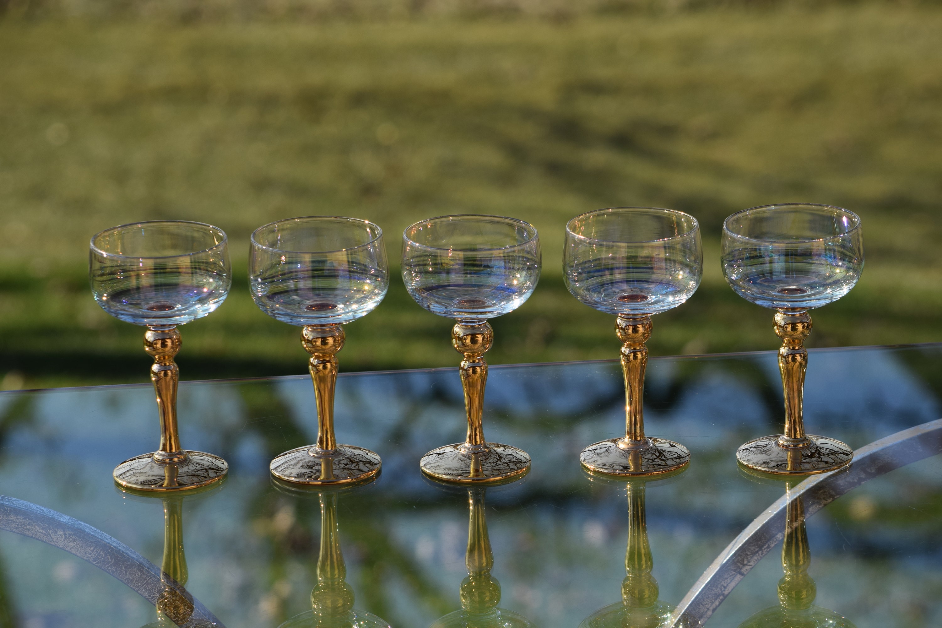 Vintage Gold Wine Liquor Glasses After Dinner Drink Glasses, Set of