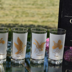 Vintage Gold Bird Highball Glasses: 1960s Barware Set