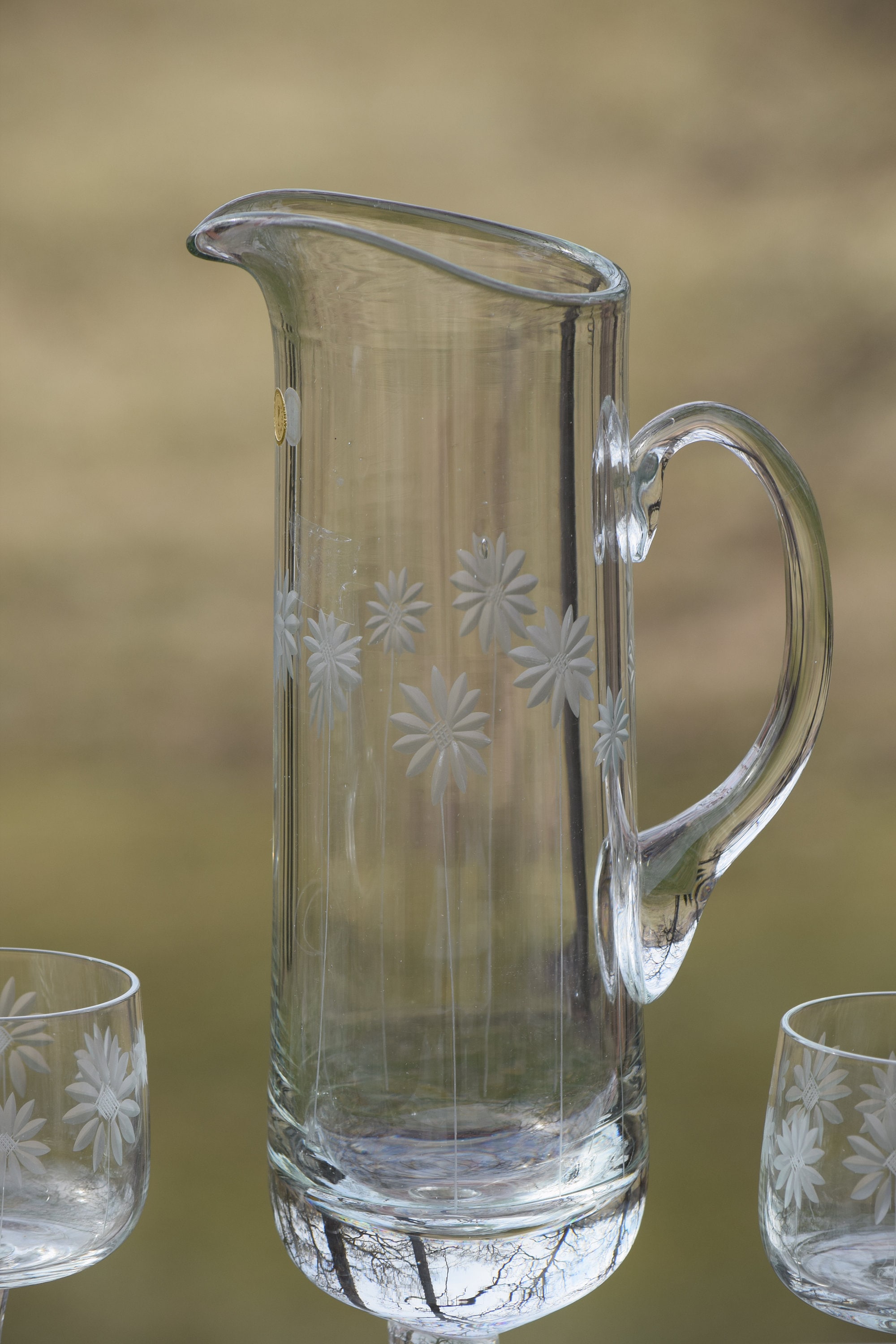 Vintage Etched Tall Cocktail Pitcher with 6 cocktail glasses, Vintage