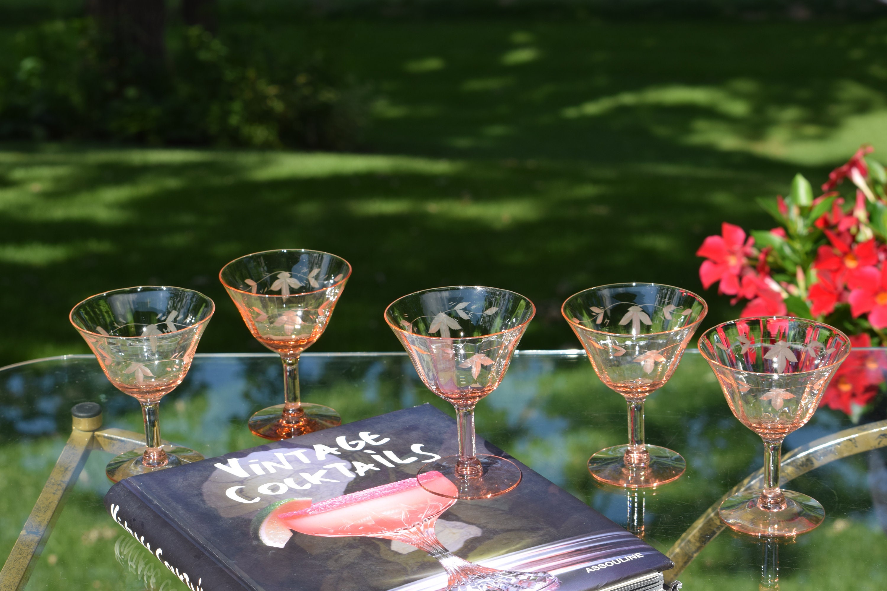 5 Vintage Pink Etched Cocktail - Martini Glasses, Mixologist