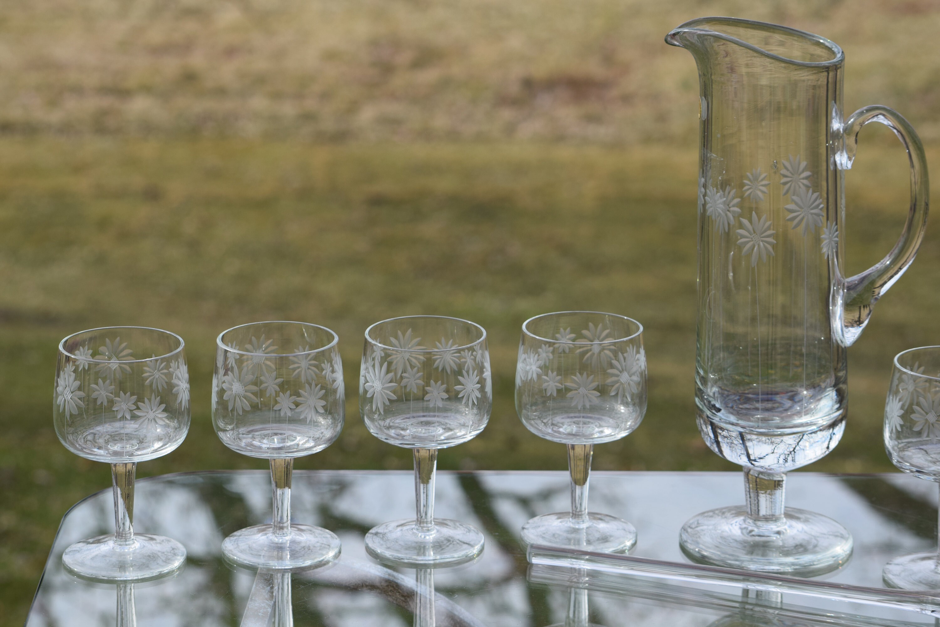 Vintage Etched Tall Cocktail Pitcher with 6 cocktail glasses, Vintage