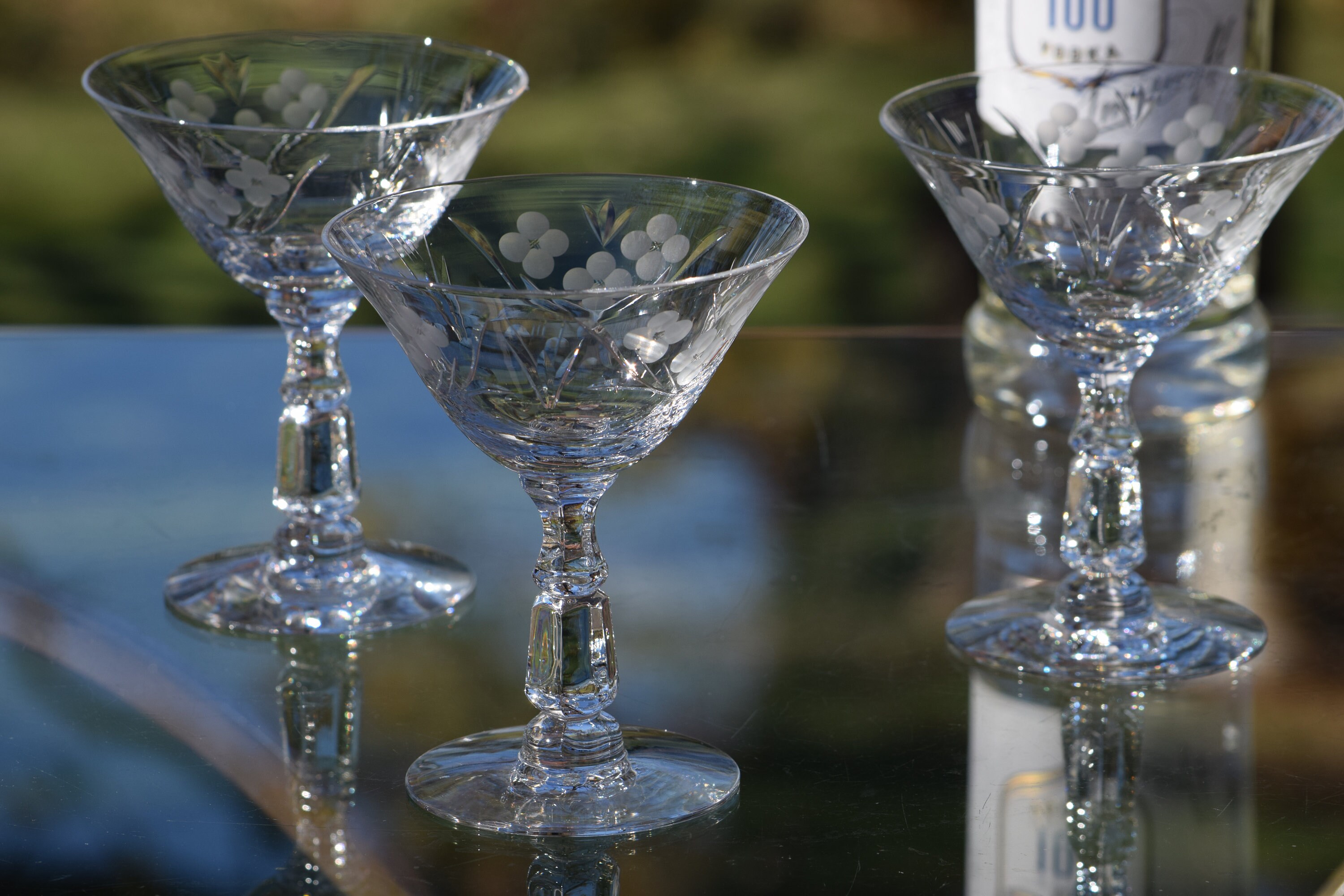 12 oz Set of 2 Martini Glasses Etched Dartmouth