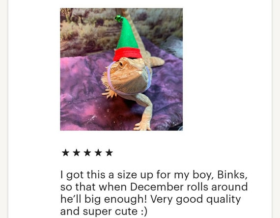 I Work Hard So My Beardie Can Have Fancy Hats Shirt I Work Hard So My Beardie Can Have Fancy Hats Shirt