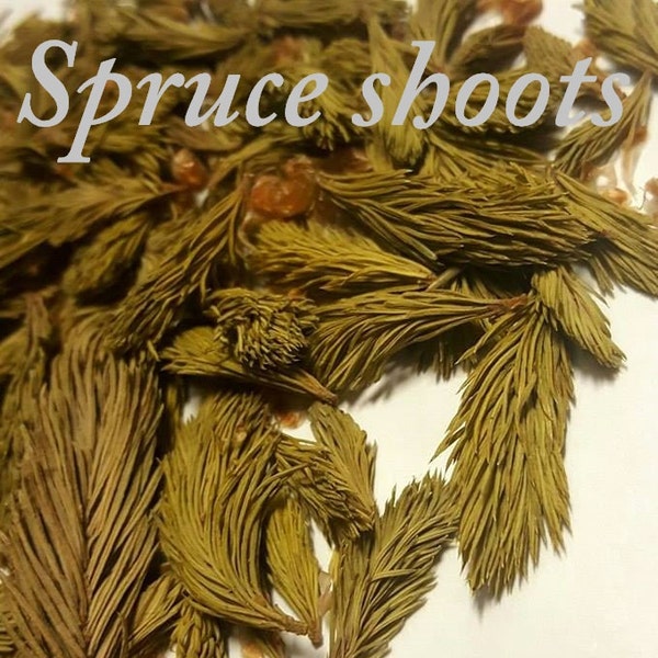 Spruce shoots. Dried. Organic herbal tea 40g