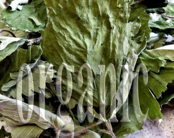 Wild Strawberry leaves. Dried. Organic herbal tea 20g.