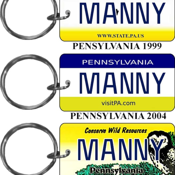 Personalized Pennsylvania 1999, 2004, Conserve Wildlife replica license plate keychain overlaminated - key ring