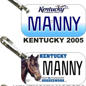 Personalized Kentucky replica license plate zipper pull overlaminated - bag tag MN