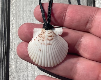 Scallop Shell Necklace: Tahitian Pearl, Hand Braided Surfer Style