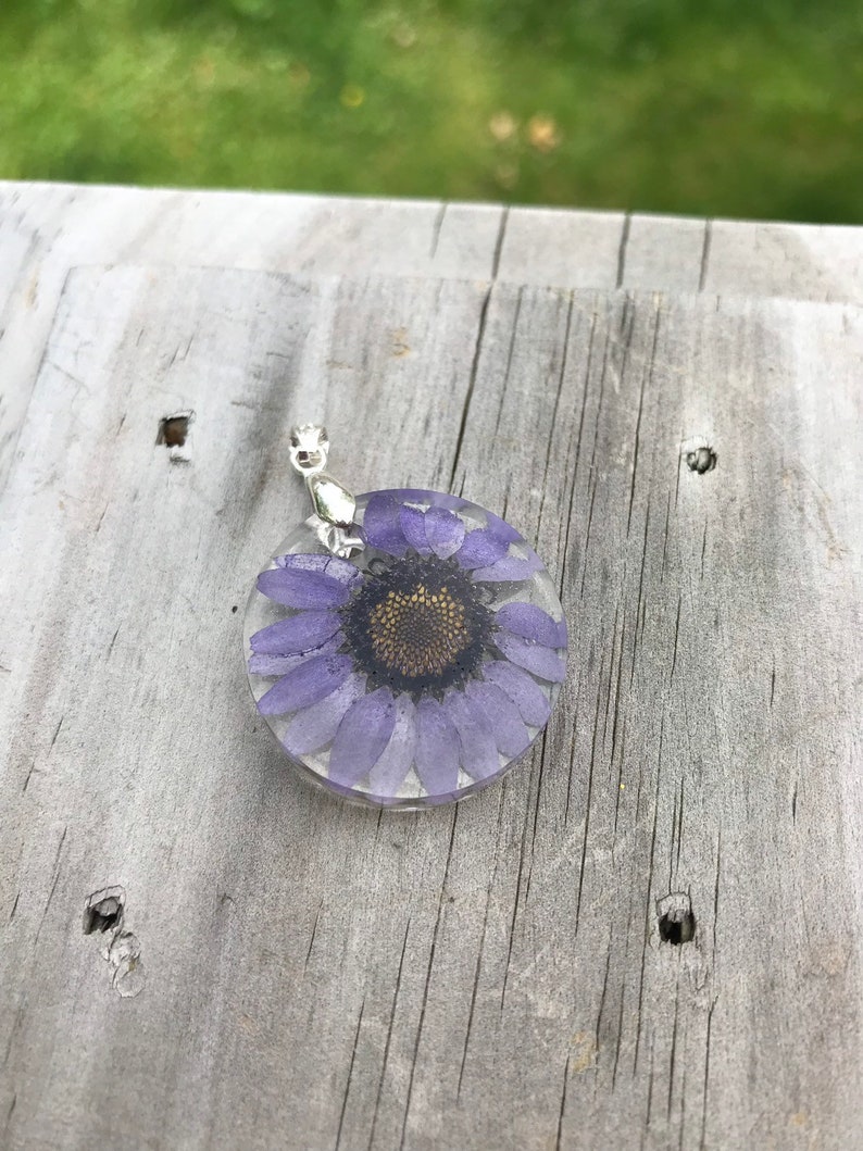 Real Dried Flower Pendant Purple Daisy Preserved Flower in Resin Black Cord Necklace Sterling Silver