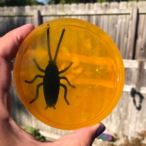 Insect Coaster in Amber Bug in Amber Jurassic Park Coaster Ring Dish Trinket Dish Plastic Faux Bug Roach