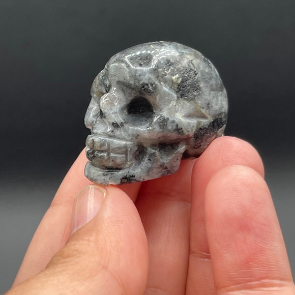 Hand Carved Larvikite Skull Black Grey Larvikite Crystal Volcanic Rock Igneous Lava Skull Memento Mori Helps One Deal with Change 1008