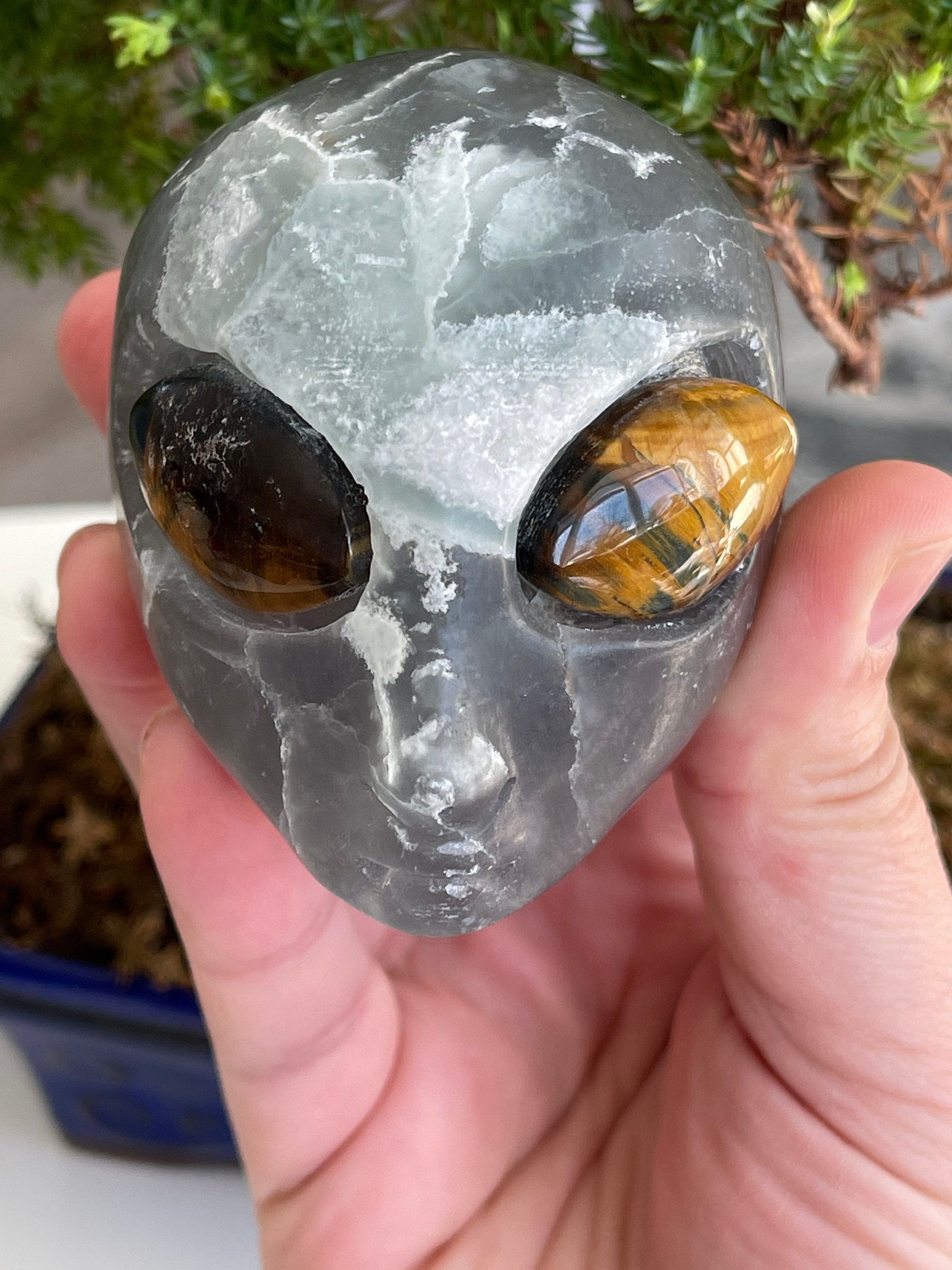 Alien eye fluorite - Etsy 日本
