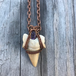 Otodus Fossil Shark Tooth Pendant: Antiqued Copper Wire Wrapped Amethyst Necklace